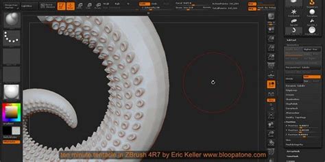 zbrush torrent|More.